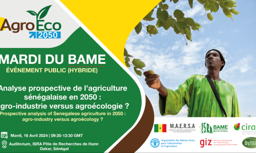 SAVE THE DATE : 29e édition des “Mardis du BAME” sur l'“Analyse prospective de l'agriculture sénégalaise en 2050 : agro-industrie versus agroécologie” 