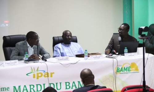 OGM, la loi sur la biosécurité au Sénégal : le débat doit continuer…